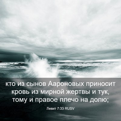 Picture 03 - Левит 7:33 RUSV - кто из сынов Аароновых - Bible Verse Picture