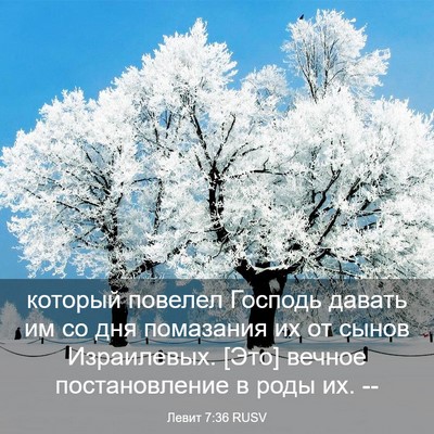 Picture 03 - Левит 7:36 RUSV - который повелел Господь - Bible Verse Picture