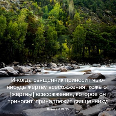 Picture 03 - Левит 7:8 RUSV - И когда священник приносит - Bible Verse Picture