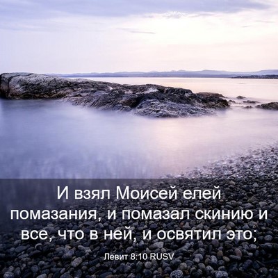 Picture 03 - Левит 8:10 RUSV - И взял Моисей елей - Bible Verse Picture