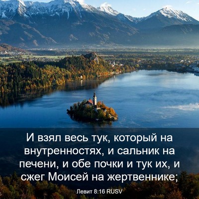 Picture 03 - Левит 8:16 RUSV - И взял весь тук, который на - Bible Verse Picture