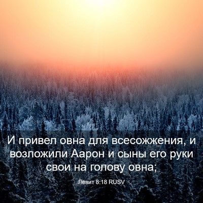 Picture 03 - Левит 8:18 RUSV - И привел овна для - Bible Verse Picture