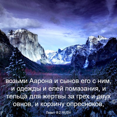 Picture 03 - Левит 8:2 RUSV - возьми Аарона и сынов его с - Bible Verse Picture
