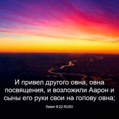 Picture 03 - Левит 8:22 RUSV - И привел другого овна, овна - Bible Verse Picture