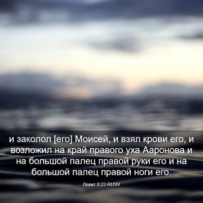 Picture 03 - Левит 8:23 RUSV - и заколол [его] Моисей, и - Bible Verse Picture