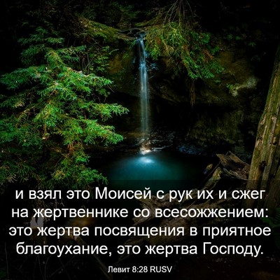 Picture 03 - Левит 8:28 RUSV - и взял это Моисей с рук их и - Bible Verse Picture