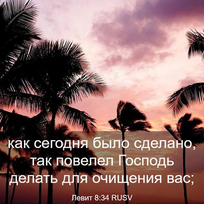 Picture 03 - Левит 8:34 RUSV - как сегодня было сделано, - Bible Verse Picture