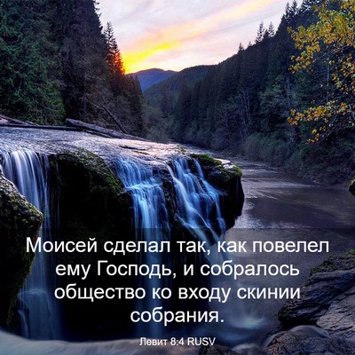 Picture 03 - Левит 8:4 RUSV - Моисей сделал так, как - Bible Verse Picture