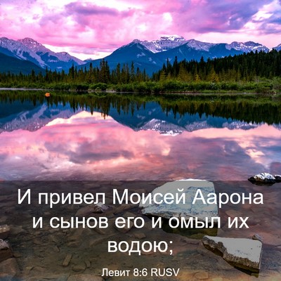 Picture 03 - Левит 8:6 RUSV - И привел Моисей Аарона и - Bible Verse Picture