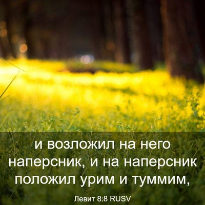 Picture 03 - Левит 8:8 RUSV - и возложил на него - Bible Verse Picture