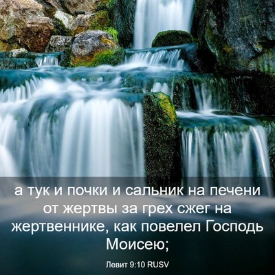 Picture 03 - Левит 9:10 RUSV - а тук и почки и сальник на - Bible Verse Picture