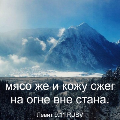 Picture 03 - Левит 9:11 RUSV - мясо же и кожу сжег на огне - Bible Verse Picture