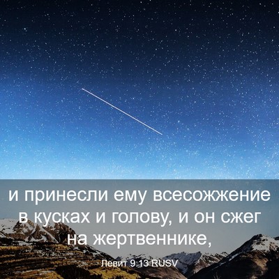 Picture 03 - Левит 9:13 RUSV - и принесли ему всесожжение - Bible Verse Picture