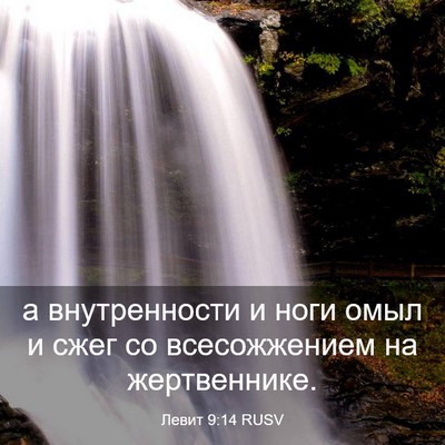 Picture 03 - Левит 9:14 RUSV - а внутренности и ноги омыл - Bible Verse Picture