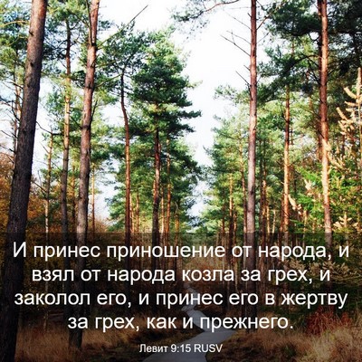 Picture 03 - Левит 9:15 RUSV - И принес приношение от - Bible Verse Picture