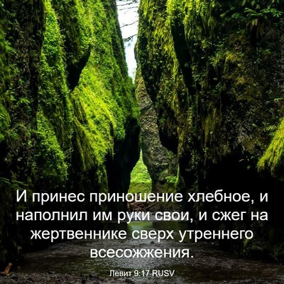 Picture 03 - Левит 9:17 RUSV - И принес приношение - Bible Verse Picture