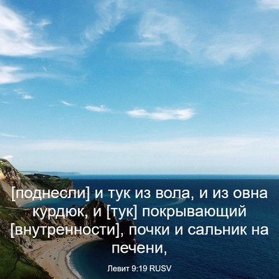 Picture 03 - Левит 9:19 RUSV - [поднесли] и тук из вола, и - Bible Verse Picture