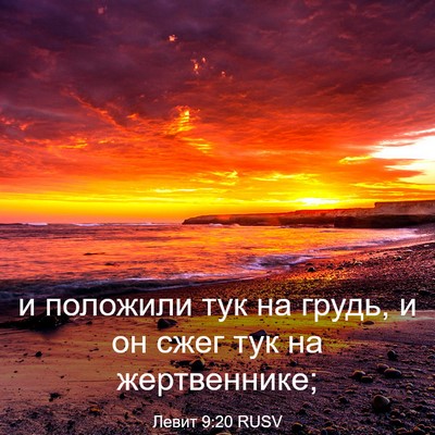 Picture 03 - Левит 9:20 RUSV - и положили тук на грудь, и - Bible Verse Picture