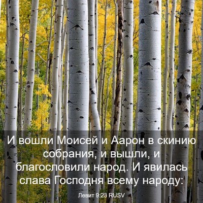 Picture 03 - Левит 9:23 RUSV - И вошли Моисей и Аарон в - Bible Verse Picture