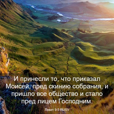 Picture 03 - Левит 9:5 RUSV - И принесли то, что приказал - Bible Verse Picture