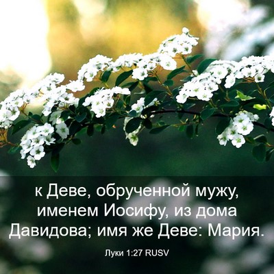 Picture 03 - Луки 1:27 RUSV - к Деве, обрученной мужу, - Bible Verse Picture