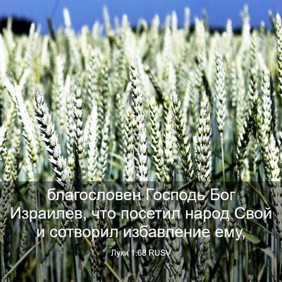 Picture 03 - Луки 1:68 RUSV - благословен Господь Бог - Bible Verse Picture