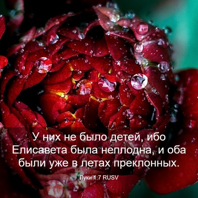 Picture 03 - Луки 1:7 RUSV - У них не было детей, ибо - Bible Verse Picture