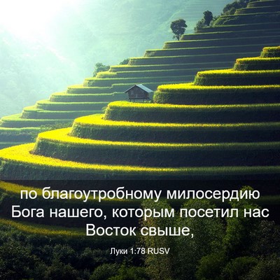 Picture 03 - Луки 1:78 RUSV - по благоутробному - Bible Verse Picture
