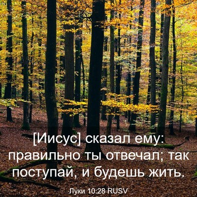 Picture 03 - Луки 10:28 RUSV - [Иисус] сказал ему: - Bible Verse Picture