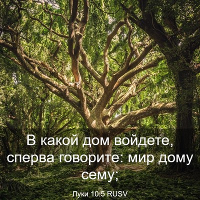 Picture 03 - Луки 10:5 RUSV - В какой дом войдете, сперва - Bible Verse Picture