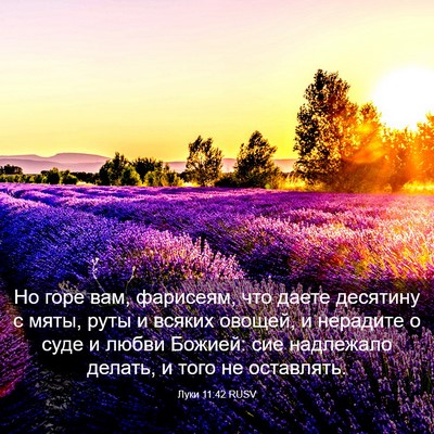 Picture 03 - Луки 11:42 RUSV - Но горе вам, фарисеям, что - Bible Verse Picture