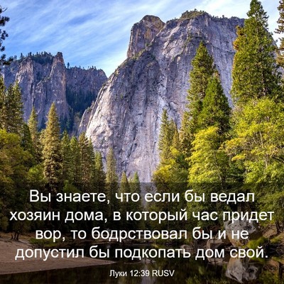 Picture 03 - Луки 12:39 RUSV - Вы знаете, что если бы - Bible Verse Picture