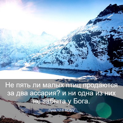 Picture 03 - Луки 12:6 RUSV - Не пять ли малых птиц - Bible Verse Picture