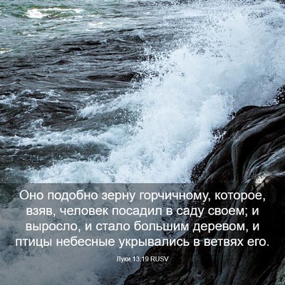 Picture 03 - Луки 13:19 RUSV - Оно подобно зерну - Bible Verse Picture