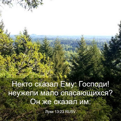 Picture 03 - Луки 13:23 RUSV - Некто сказал Ему: Господи! - Bible Verse Picture