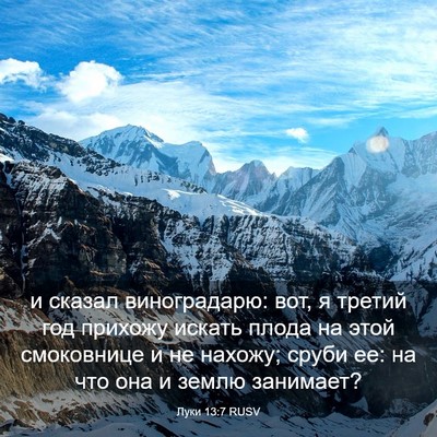 Picture 03 - Луки 13:7 RUSV - и сказал виноградарю: вот, - Bible Verse Picture