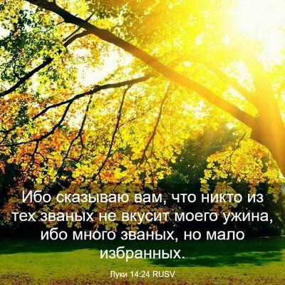 Picture 03 - Луки 14:24 RUSV - Ибо сказываю вам, что никто - Bible Verse Picture