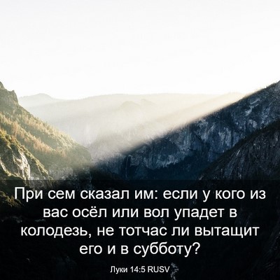 Picture 03 - Луки 14:5 RUSV - При сем сказал им: если у - Bible Verse Picture