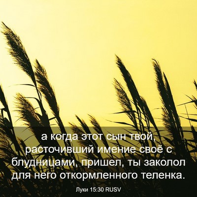 Picture 03 - Луки 15:30 RUSV - а когда этот сын твой, - Bible Verse Picture