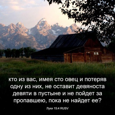 Picture 03 - Луки 15:4 RUSV - кто из вас, имея сто овец и - Bible Verse Picture