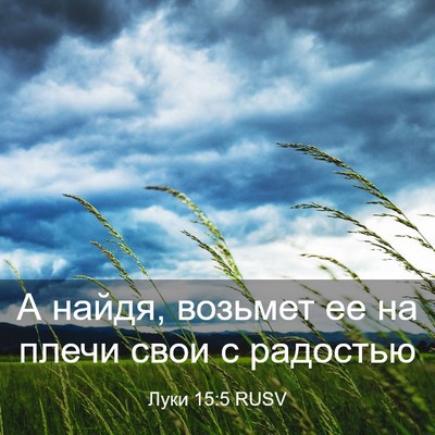 Picture 03 - Луки 15:5 RUSV - А найдя, возьмет ее на - Bible Verse Picture