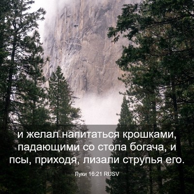 Picture 03 - Луки 16:21 RUSV - и желал напитаться - Bible Verse Picture