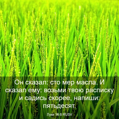 Picture 03 - Луки 16:6 RUSV - Он сказал: сто мер масла. И - Bible Verse Picture