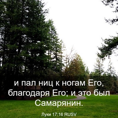 Picture 03 - Луки 17:16 RUSV - и пал ниц к ногам Его, - Bible Verse Picture