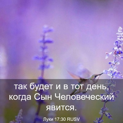 Picture 03 - Луки 17:30 RUSV - так будет и в тот день, - Bible Verse Picture