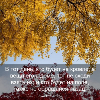 Picture 03 - Луки 17:31 RUSV - В тот день, кто будет на - Bible Verse Picture