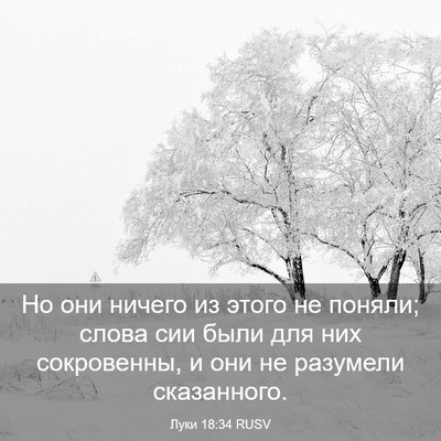 Picture 03 - Луки 18:34 RUSV - Но они ничего из этого не - Bible Verse Picture