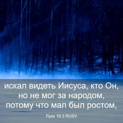 Picture 03 - Луки 19:3 RUSV - искал видеть Иисуса, кто - Bible Verse Picture