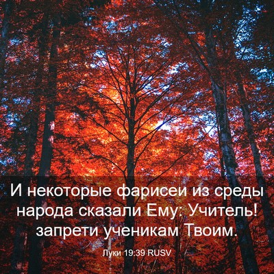 Picture 03 - Луки 19:39 RUSV - И некоторые фарисеи из - Bible Verse Picture