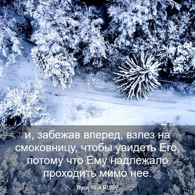 Picture 03 - Луки 19:4 RUSV - и, забежав вперед, взлез на - Bible Verse Picture